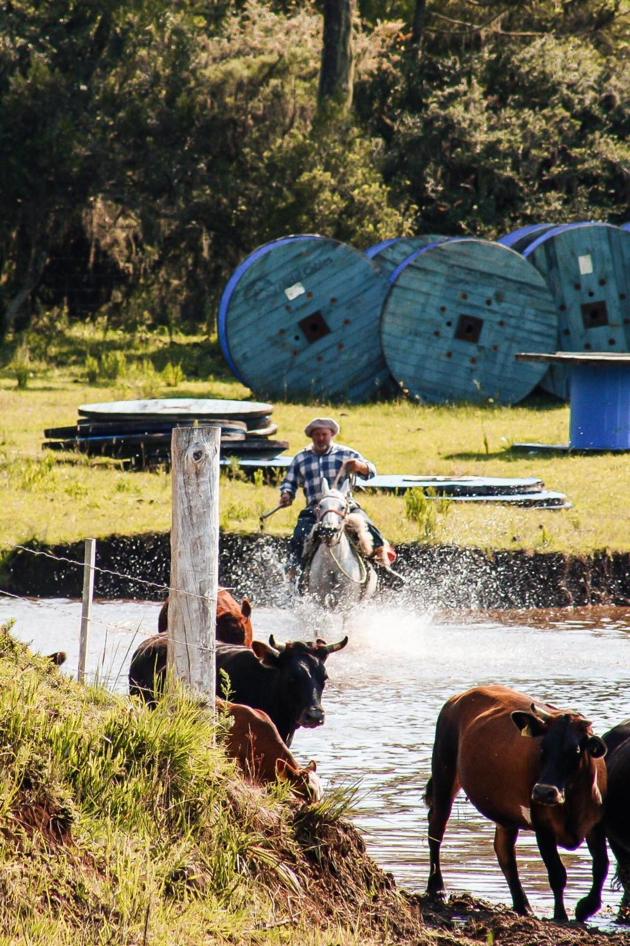 Fazenda Invernada Grande 招待所